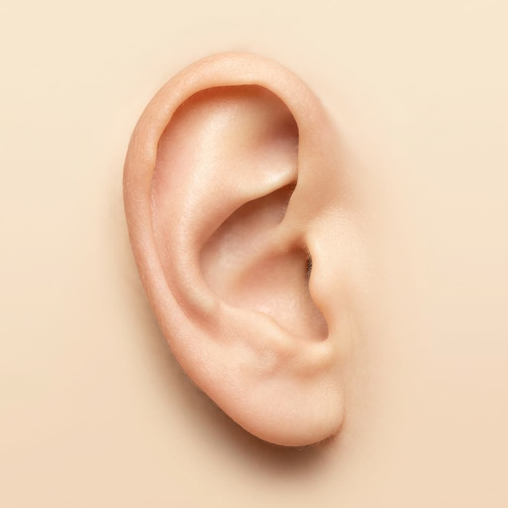 Ear Care, Discharge & Hearing